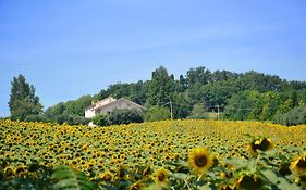 Le Piume B&B